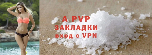 мяу мяу мука Абаза