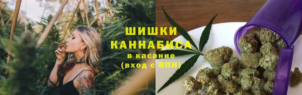 мяу мяу мука Абаза